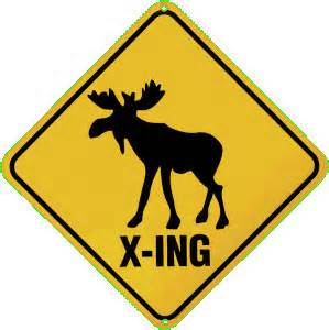moose sign