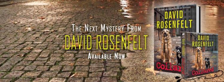 20046619_1662314593813681_2374541528047382052_n