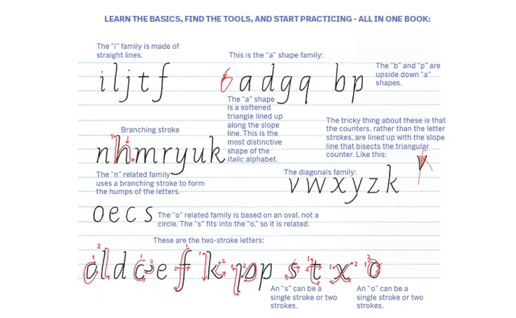 56ea2758-1031-460a-bff3-b285934ac95d.__CR0,0,970,600_PT0_SX970_V1___