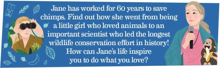 439262f5-99bf-45de-9adb-cc9be7c9e62a.__CR0,0,970,300_PT0_SX970_V1___