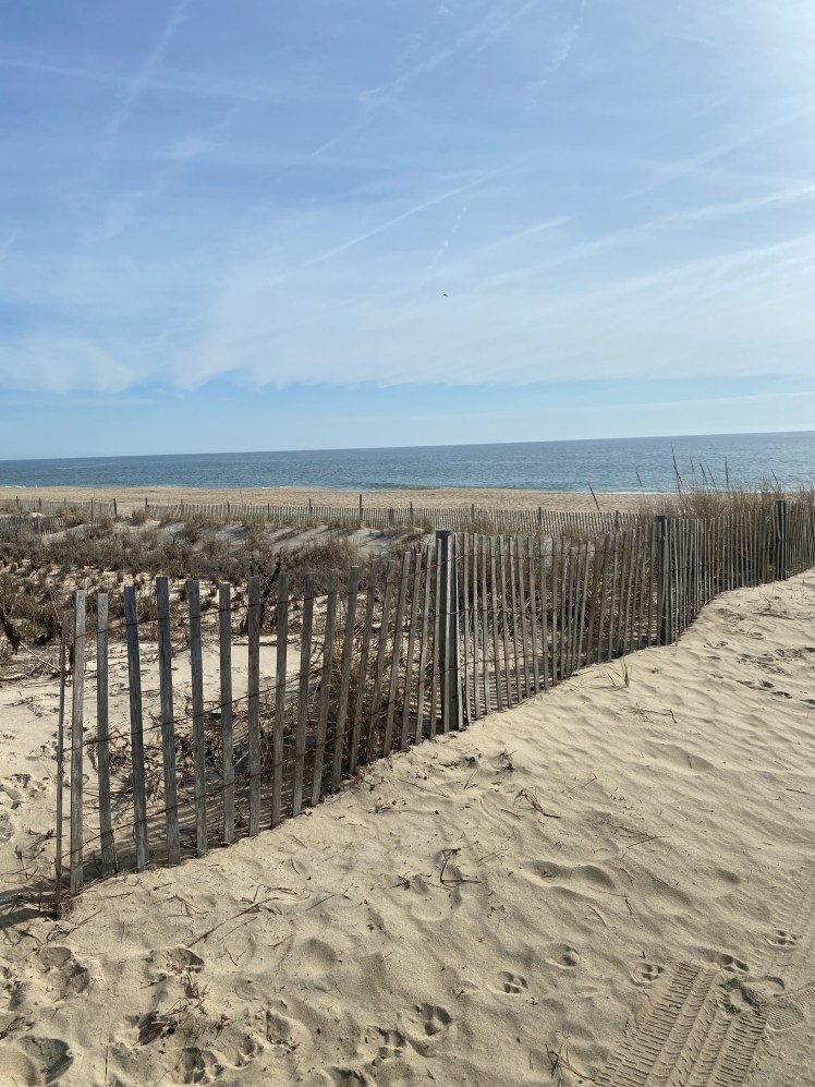 20220413_132019619_iOS