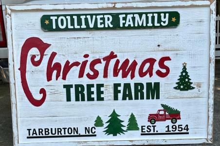 370364903_903412057815091_7322761773968813907_n