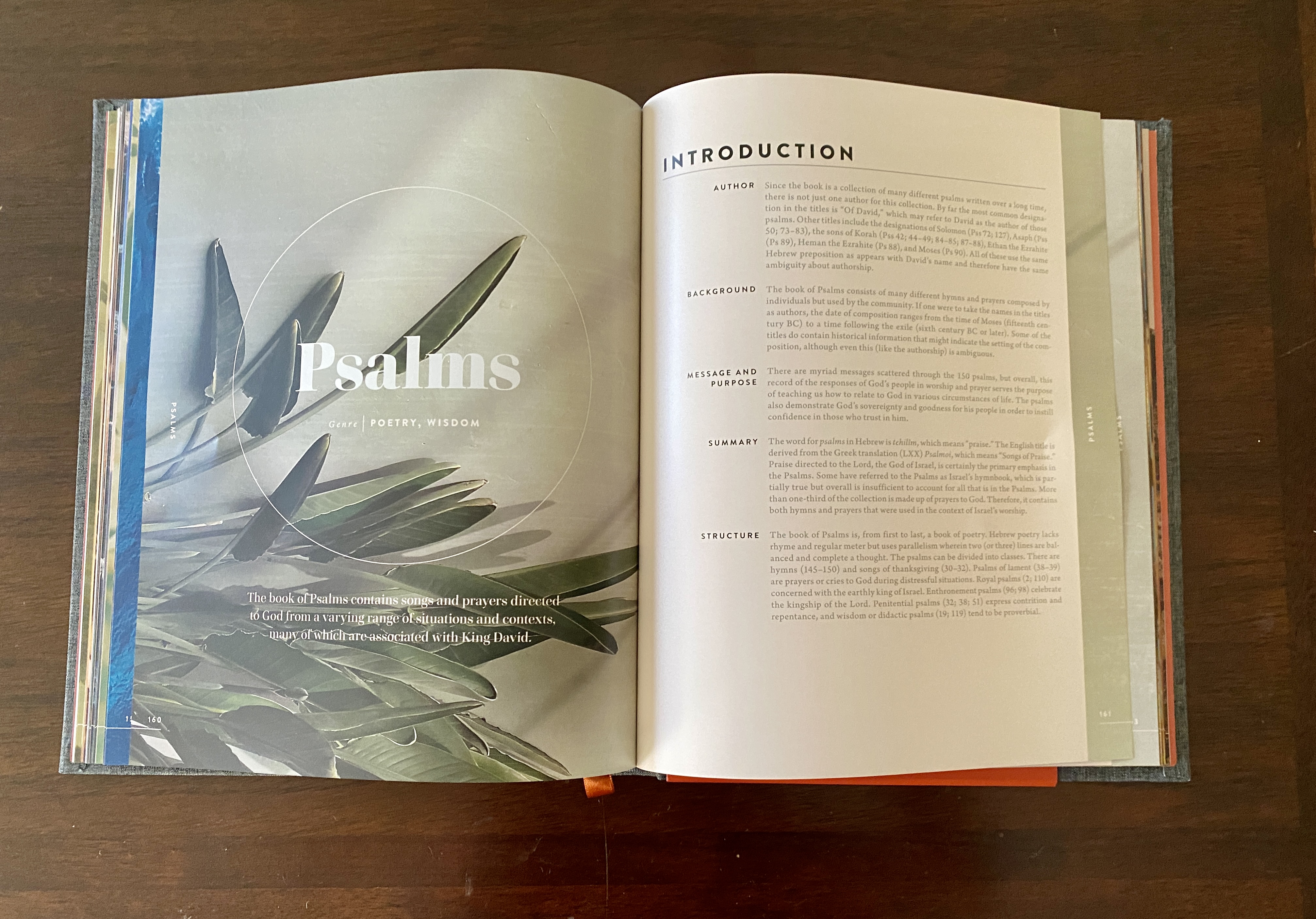 20231111_165626360_iOS