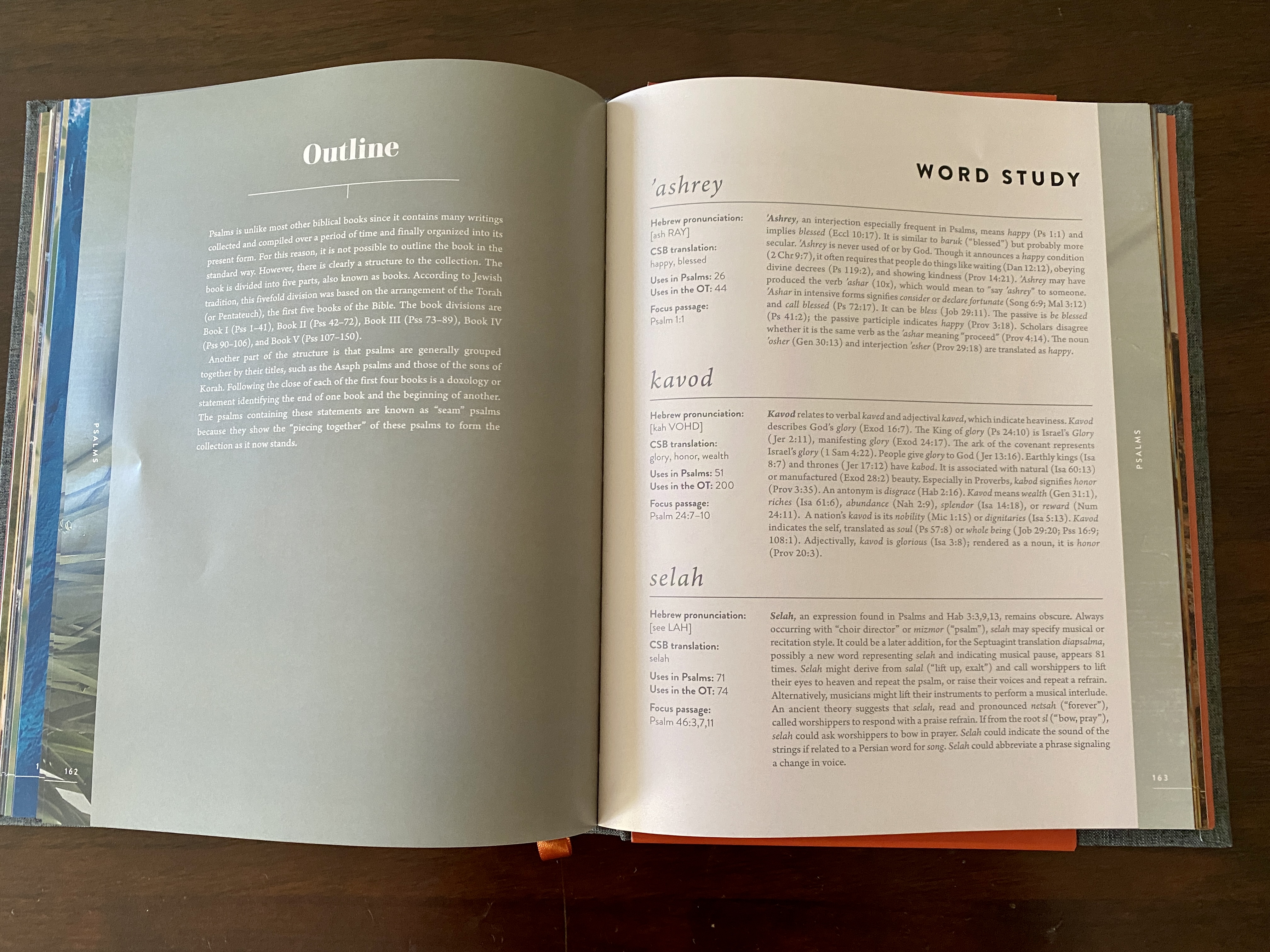 20231111_165631677_iOS